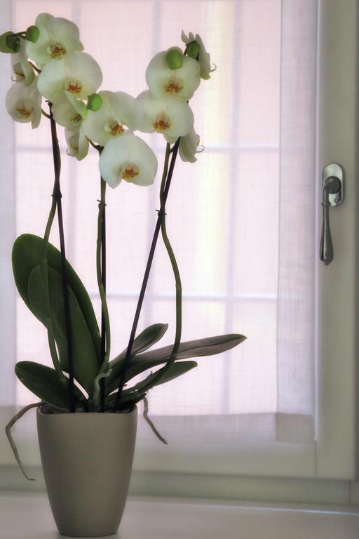 Boutique Apartments Βερόνα Εξωτερικό φωτογραφία